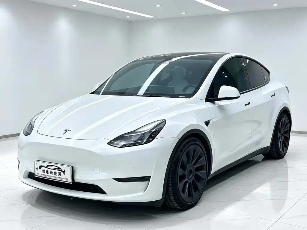 Tesla Model Y — фото 1