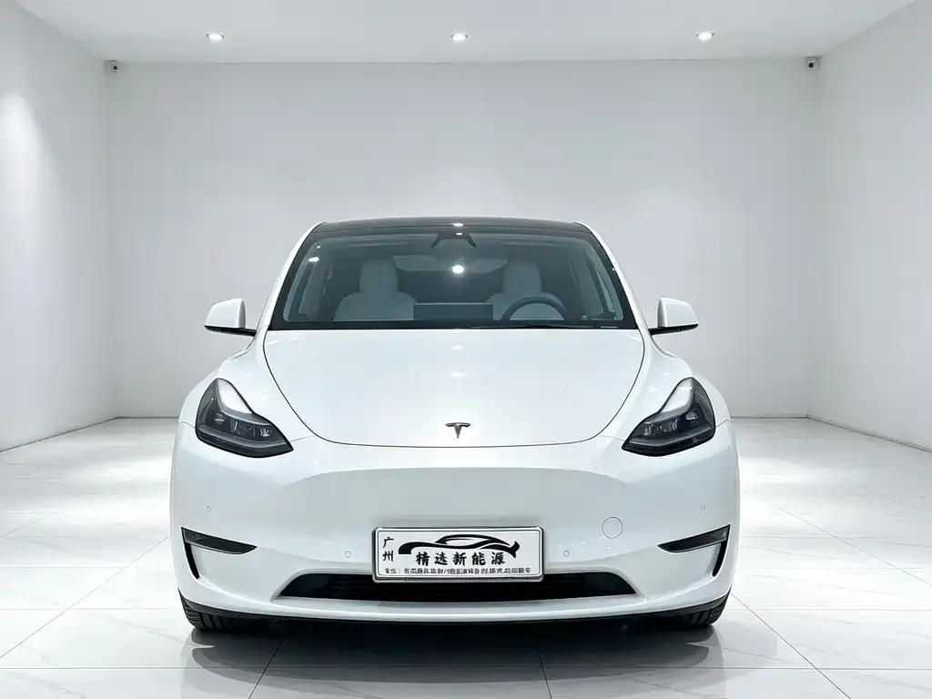 Tesla Model Y — фото 2