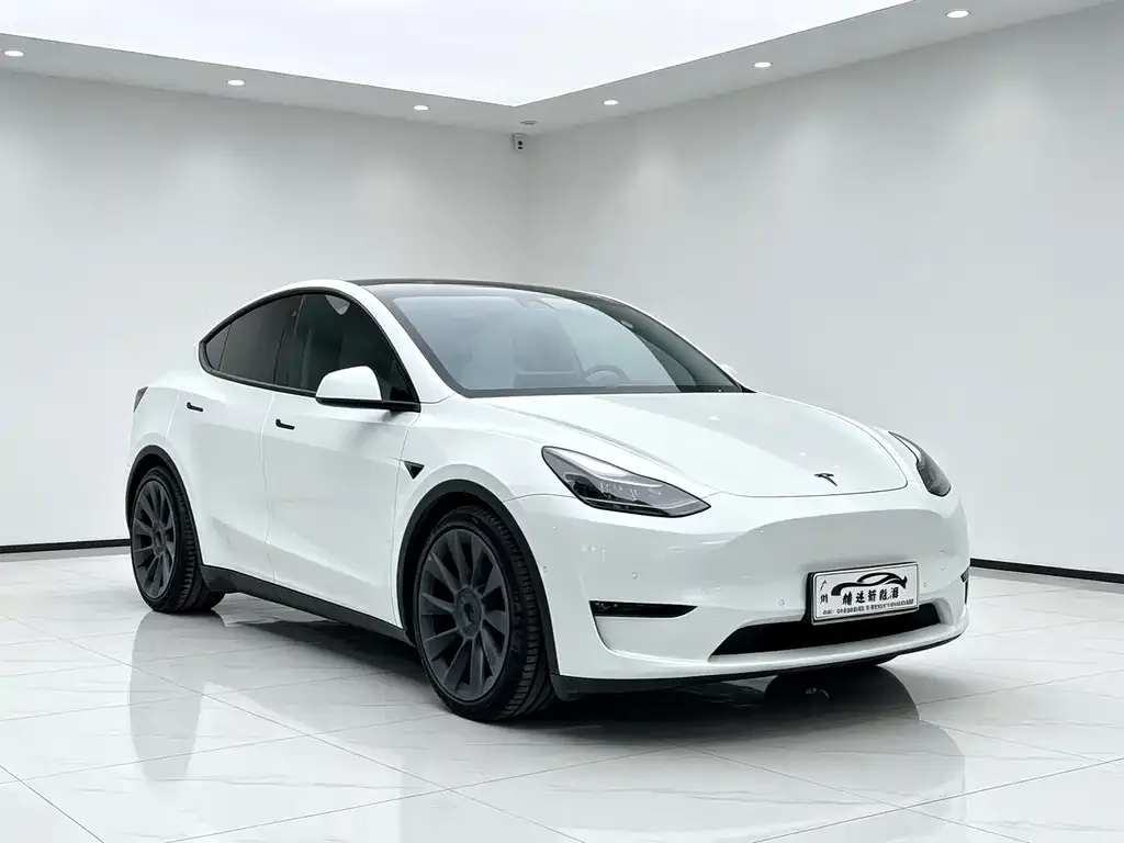 Tesla Model Y — фото 9