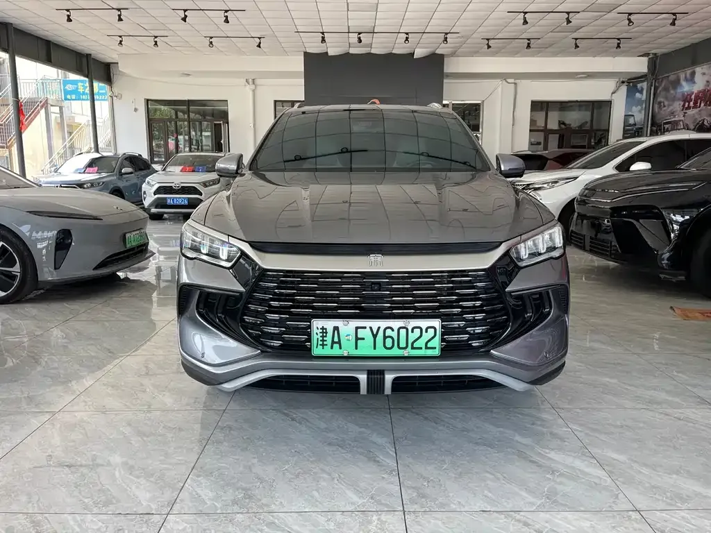 BYD Pro New Energy — фото 2