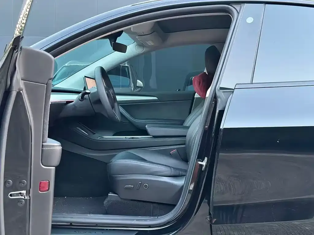 Tesla Model Y — фото 2