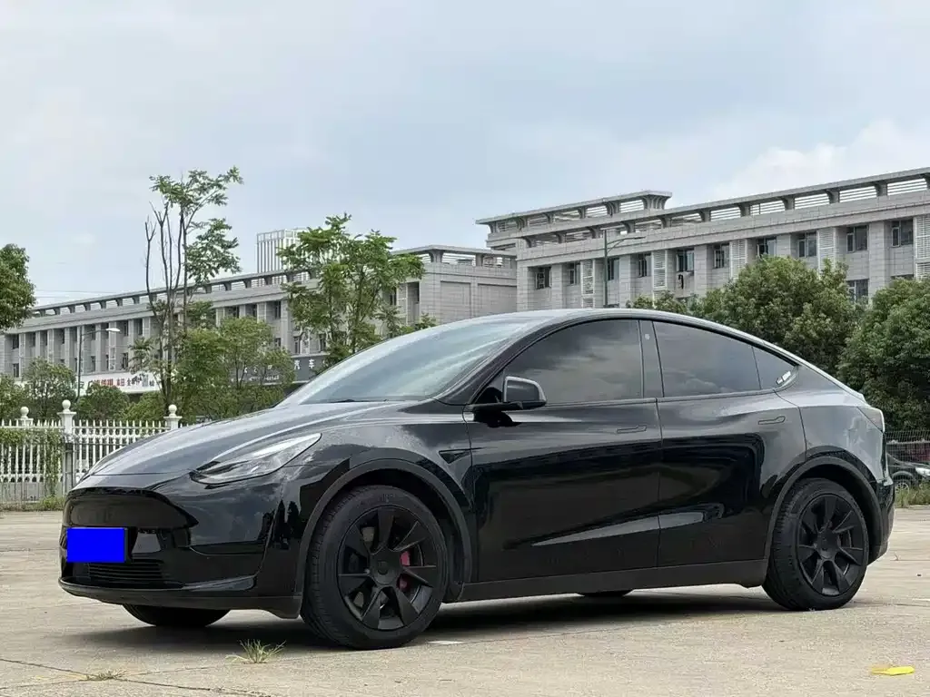 Tesla Model Y — фото 1
