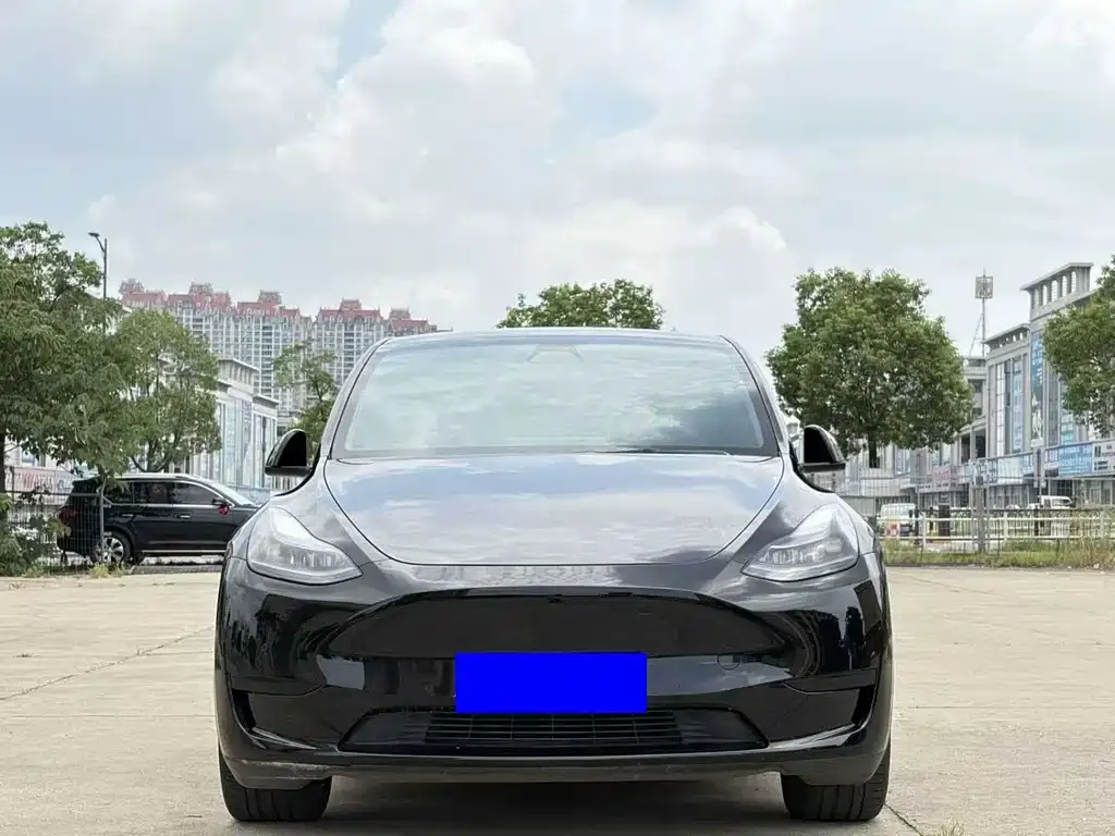 Tesla Model Y — фото 2