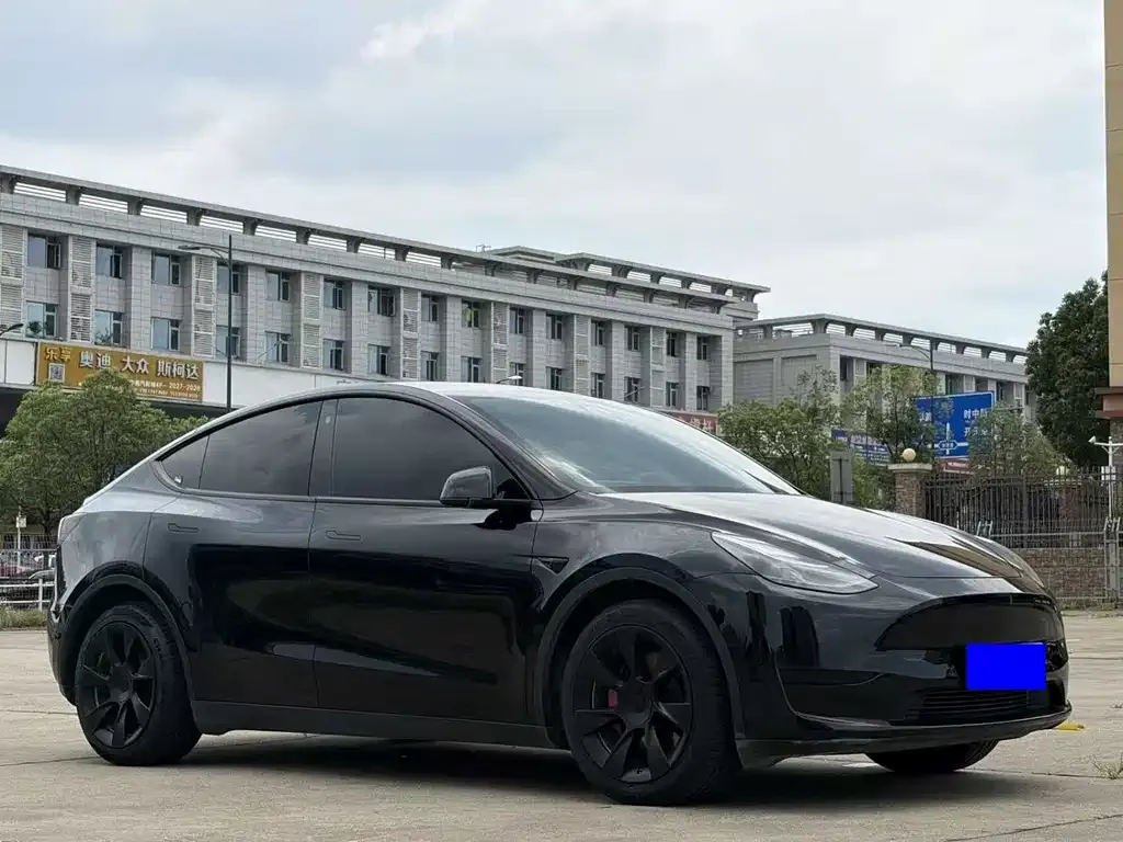 Tesla Model Y — фото 6