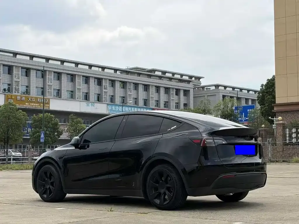 Tesla Model Y — фото 9