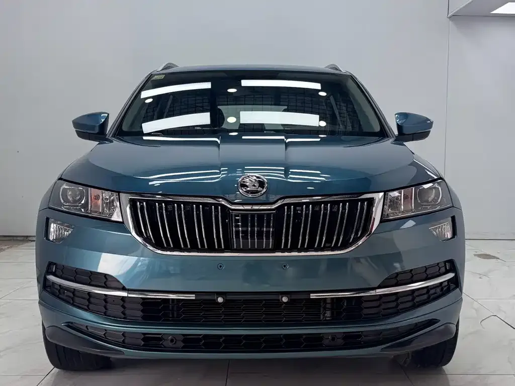 Skoda Karoq — фото 7