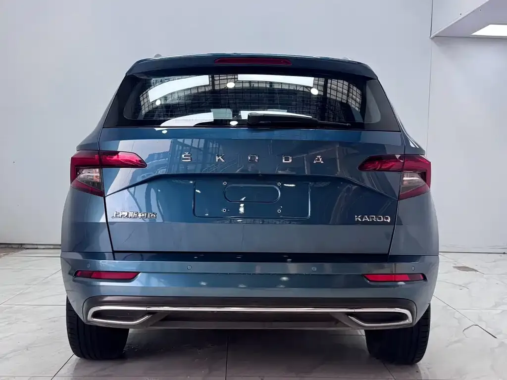 Skoda Karoq — фото 8