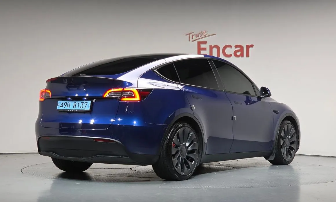 Tesla Model Y — фото 10