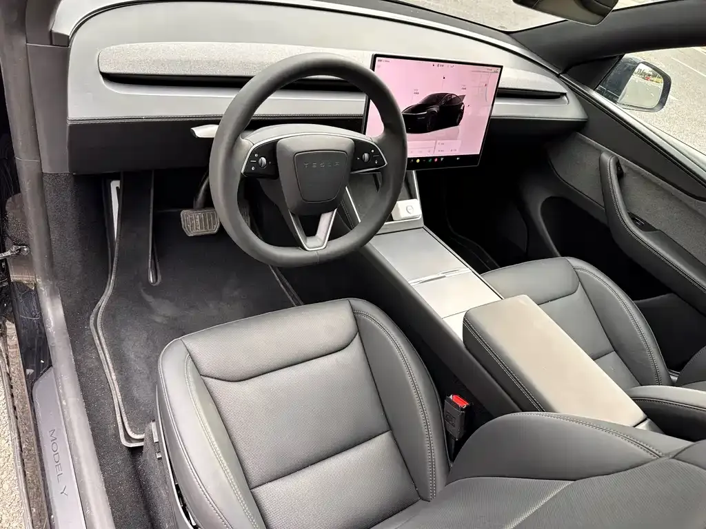 Tesla Model Y — фото 9