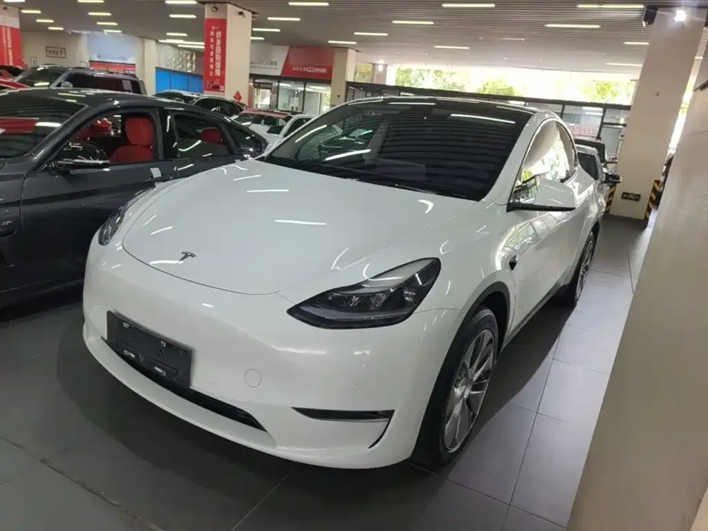 Tesla Model Y — фото 9