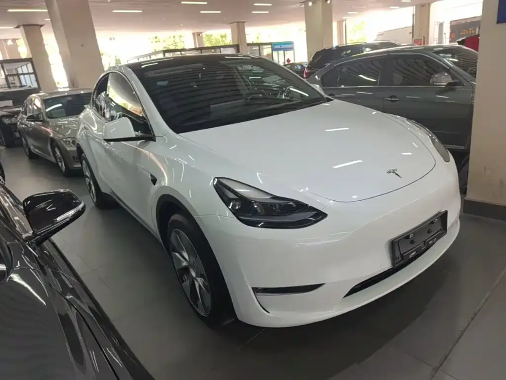 Tesla Model Y — фото 6