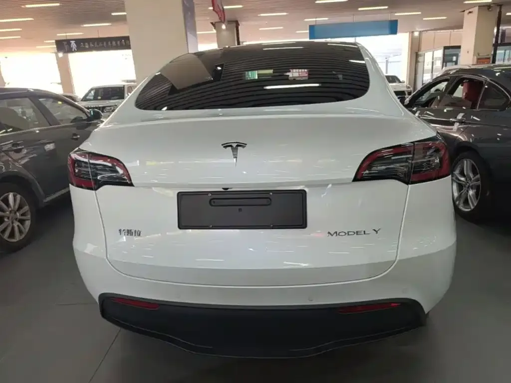 Tesla Model Y — фото 5