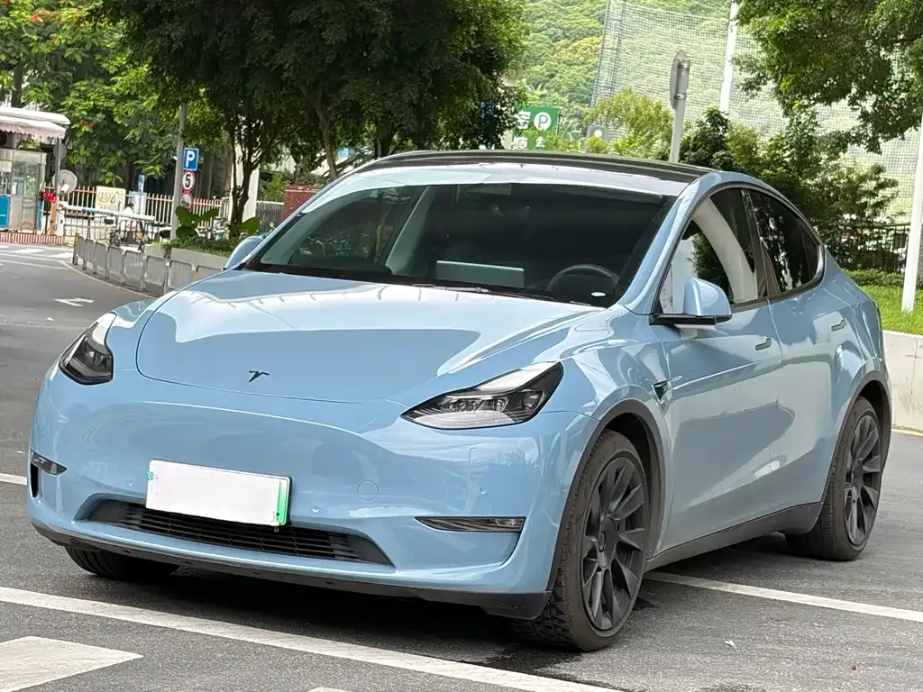 Tesla Model Y — фото 1