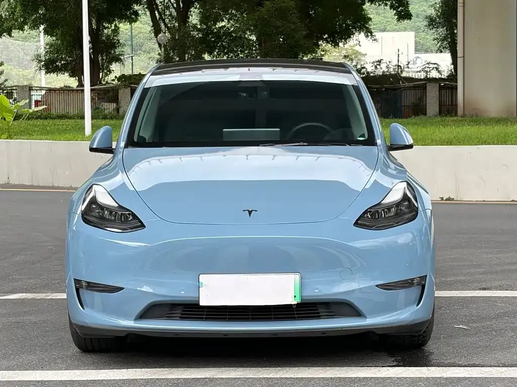 Tesla Model Y — фото 3