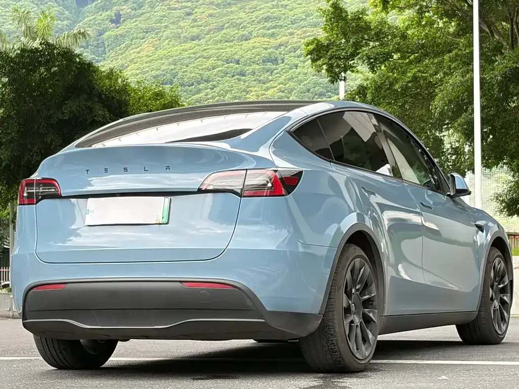 Tesla Model Y — фото 9