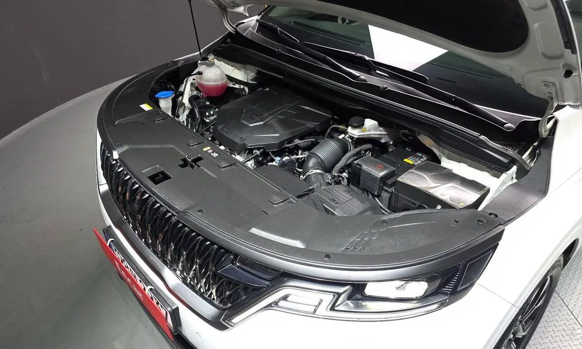 Kia Carnival — фото 10