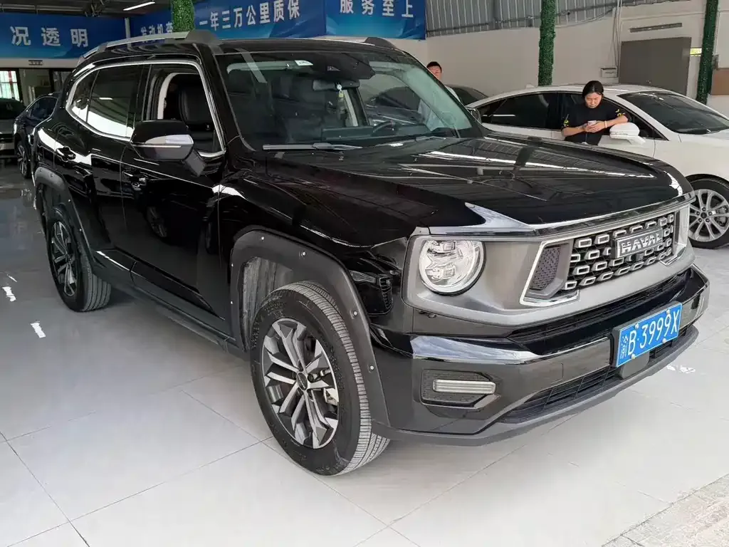 Haval Big Dog PLUS — фото 10