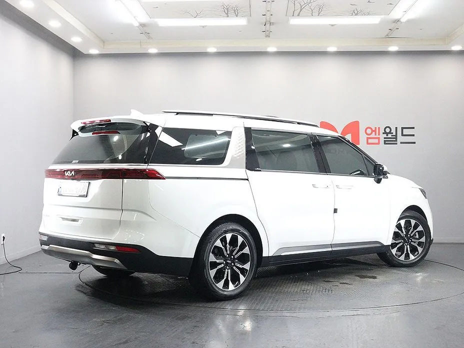 Kia Carnival — фото 10