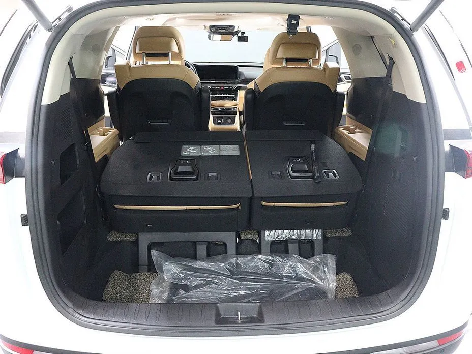 Kia Carnival — фото 4