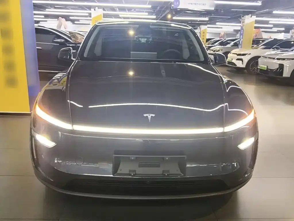 Tesla Model Y — фото 8