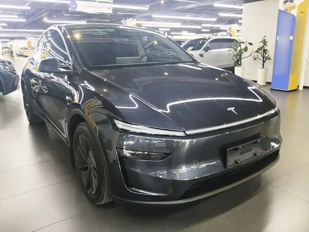 Tesla Model Y — фото 3