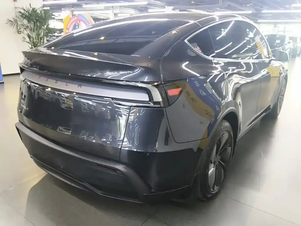 Tesla Model Y — фото 5