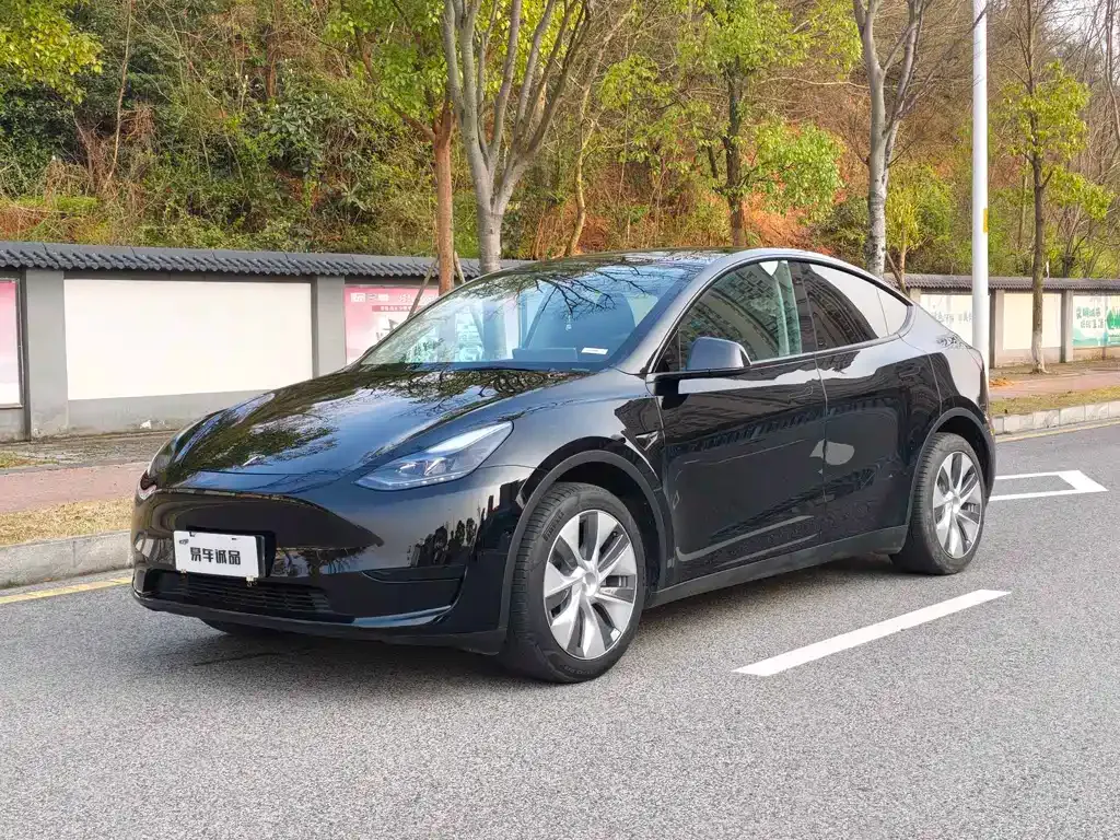 Tesla Model Y — фото 1