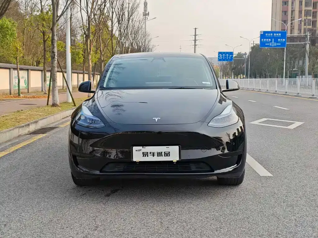 Tesla Model Y — фото 10