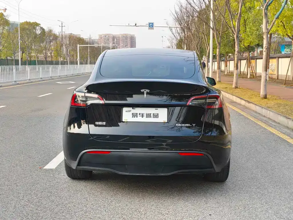 Tesla Model Y — фото 6