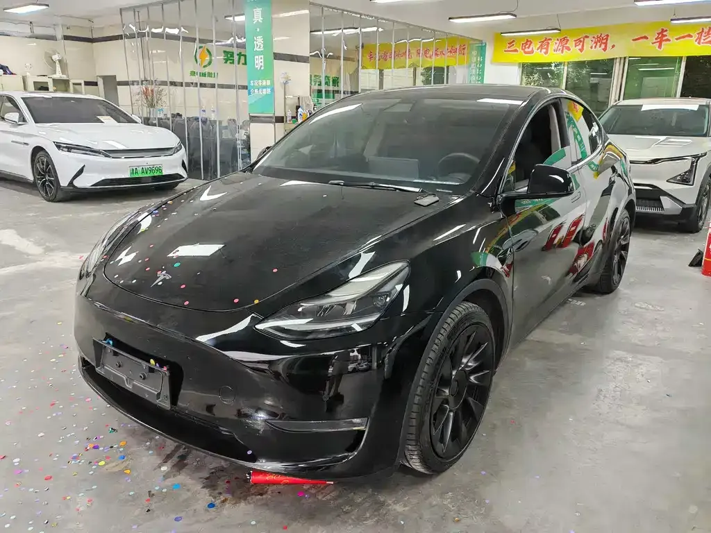 Tesla Model Y — фото 1