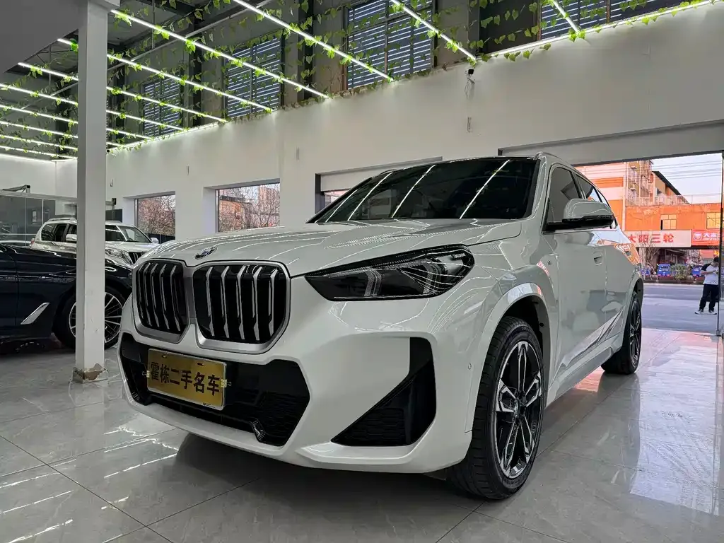 BMW X1 — фото 1