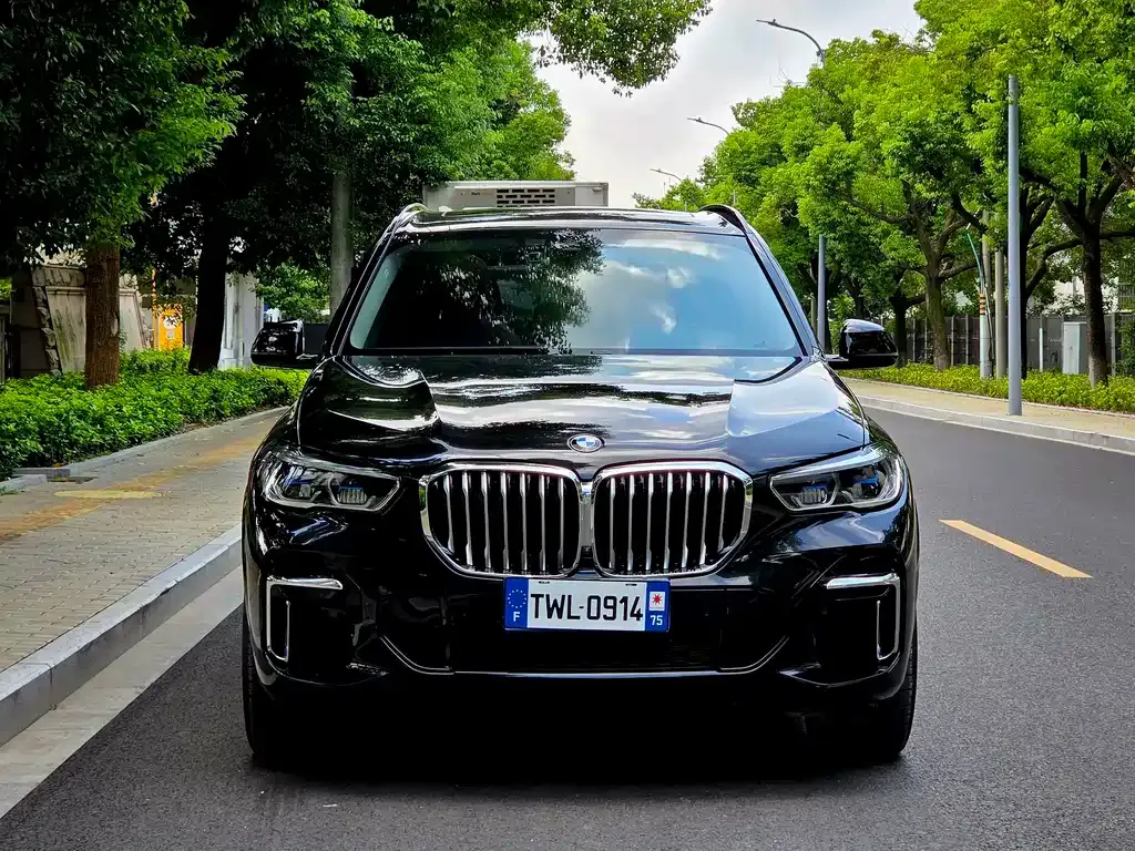 BMW X5 — фото 10