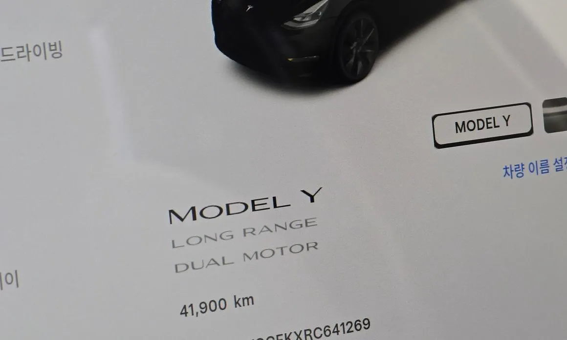 Tesla Model Y — фото 7