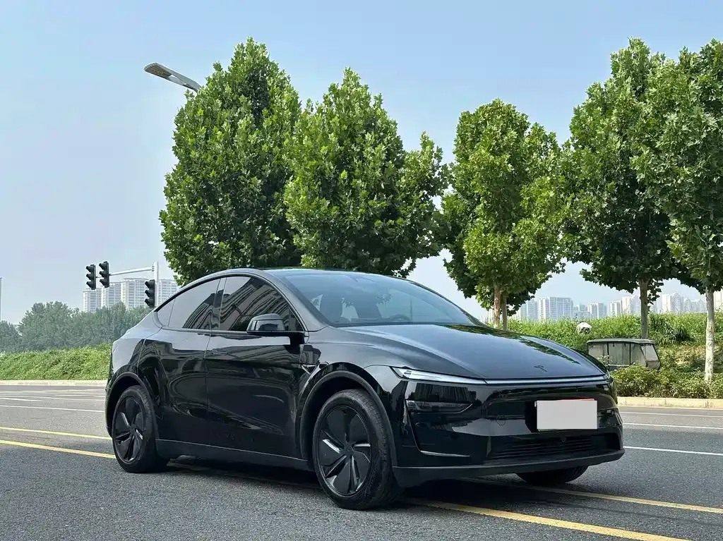 Tesla Model Y — фото 5
