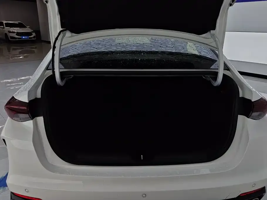 GAC Motor Shadow Leopard — фото 2