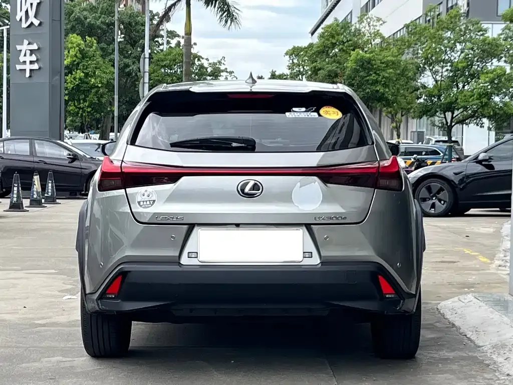 Lexus UX New Energy — фото 4