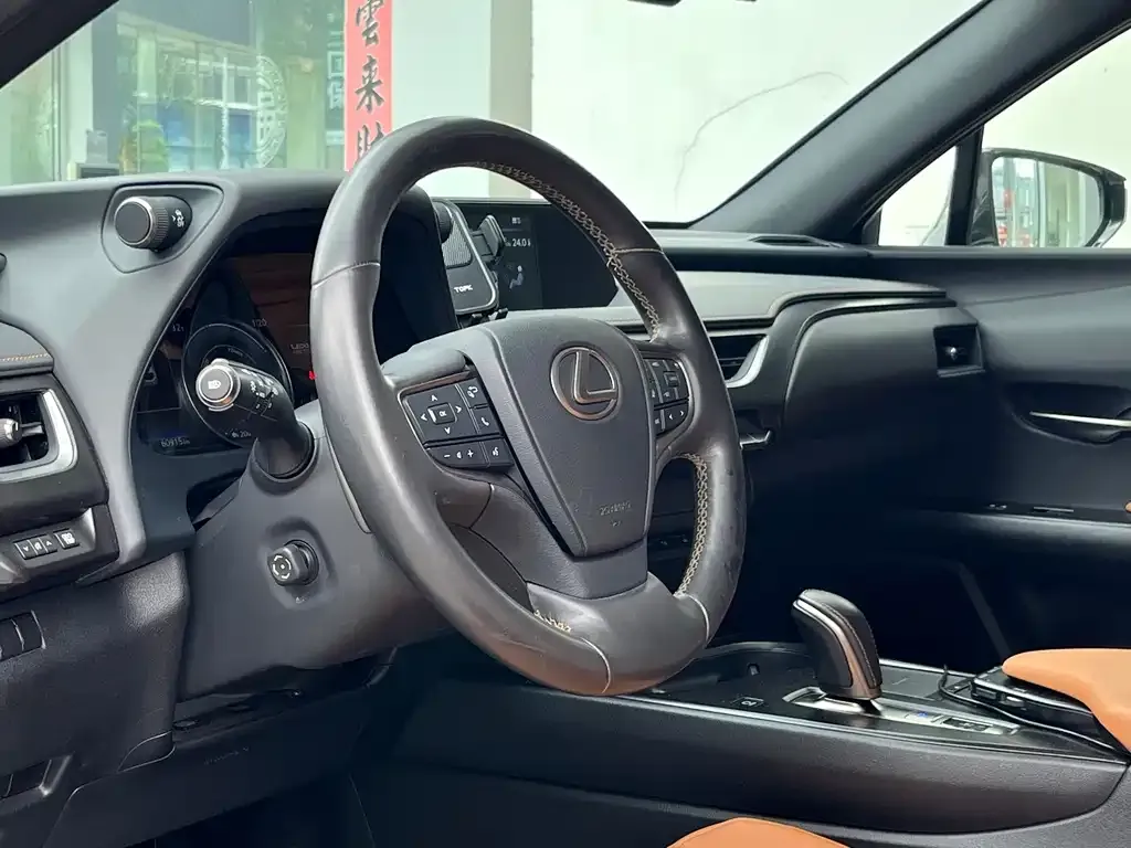 Lexus UX New Energy — фото 6