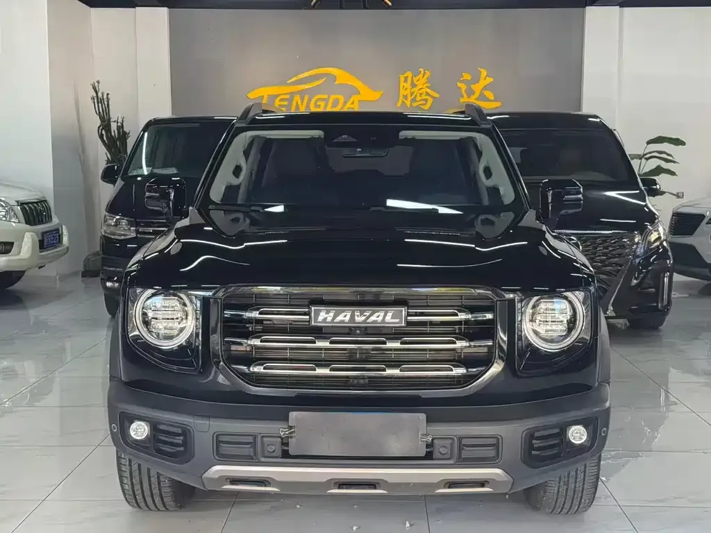 Haval Big Dog — фото 4