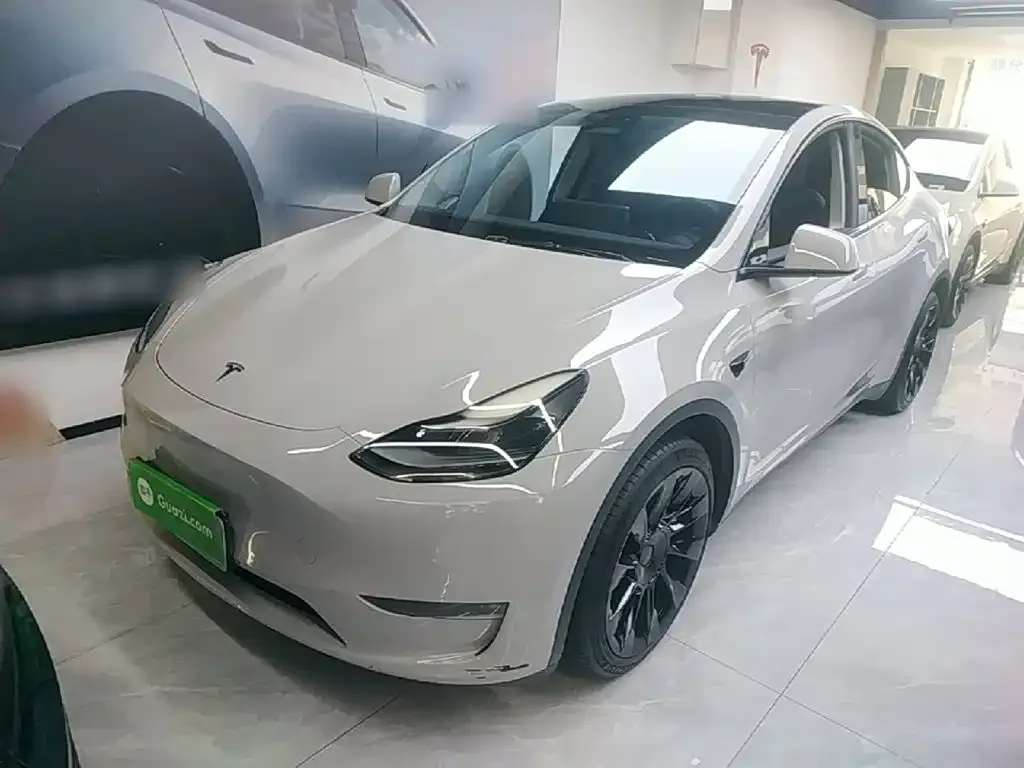 Tesla Model Y — фото 1