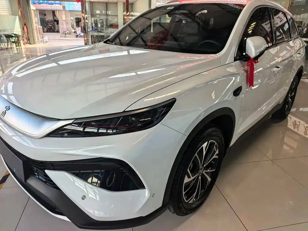 BYD Pro New Energy — фото 1