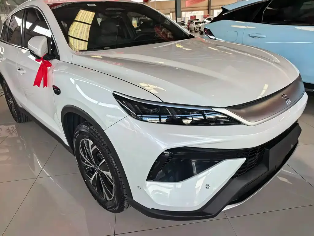 BYD Pro New Energy — фото 9