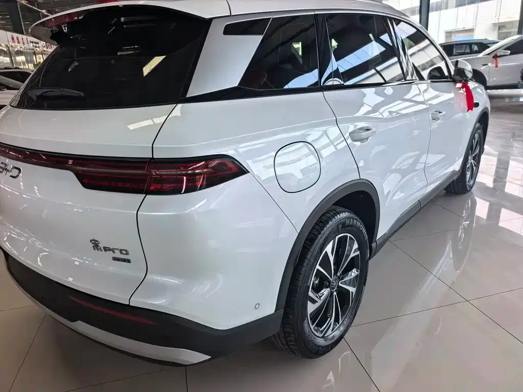 BYD Pro New Energy — фото 8
