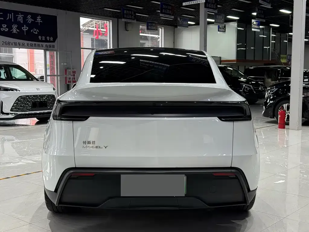 Tesla Model Y — фото 6
