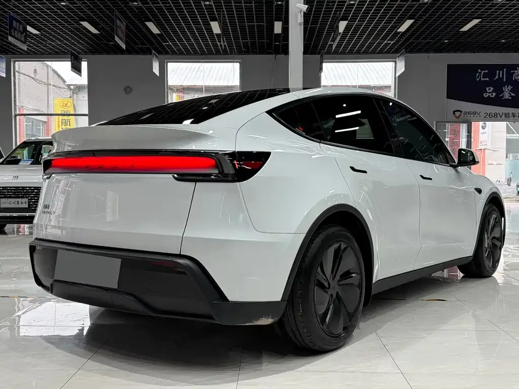 Tesla Model Y — фото 8