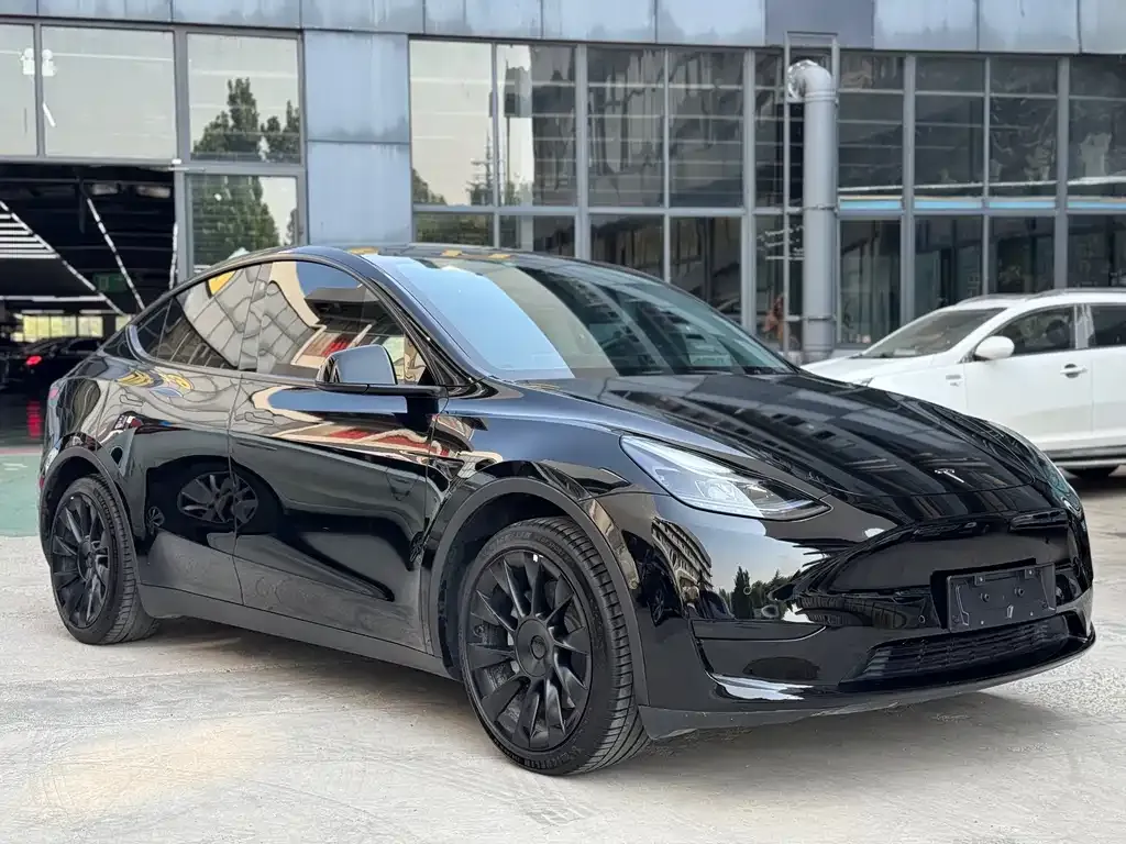 Tesla Model Y — фото 8