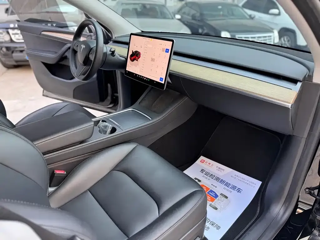 Tesla Model Y — фото 10