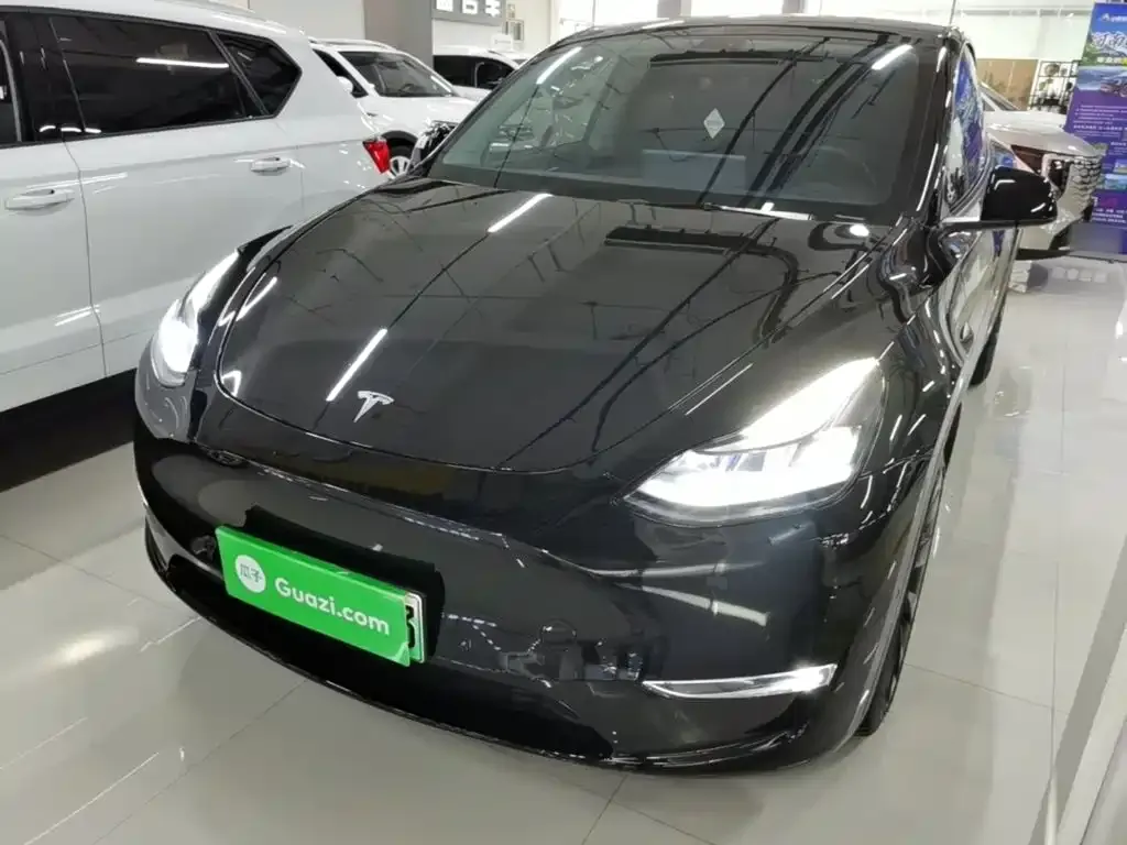 Tesla Model Y — фото 10
