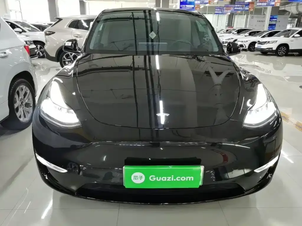 Tesla Model Y — фото 9