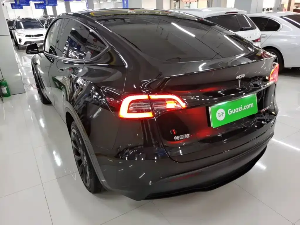 Tesla Model Y — фото 6