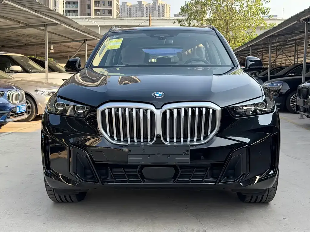 BMW X5 — фото 9